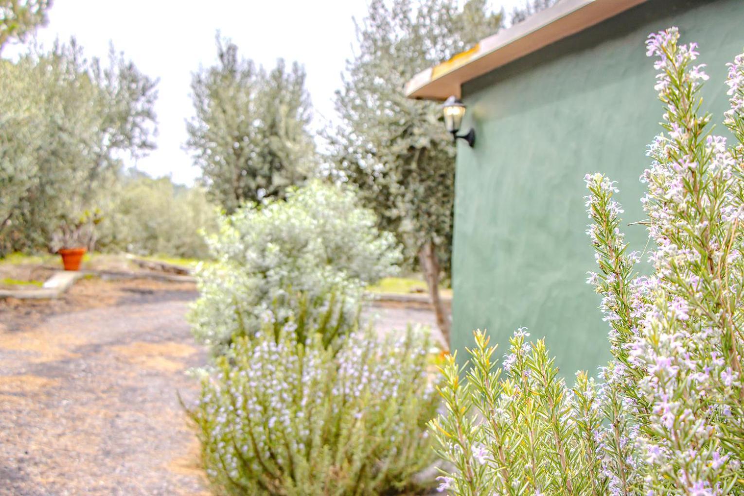 Vivienda Vacacional La Morada El Paso Eksteriør bilde